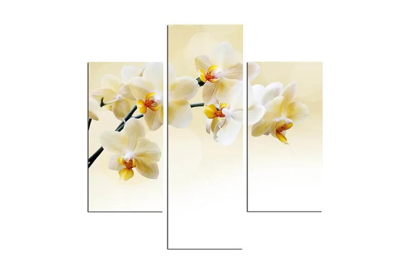 Dekorativ MDF-målning 3 Delar - Flerfärgad - Inredning - Tavlor & posters - Canvastavla