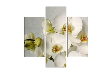 Dekorativ MDF-målning 3 Delar - Flerfärgad - Inredning - Tavlor & posters - Canvastavla