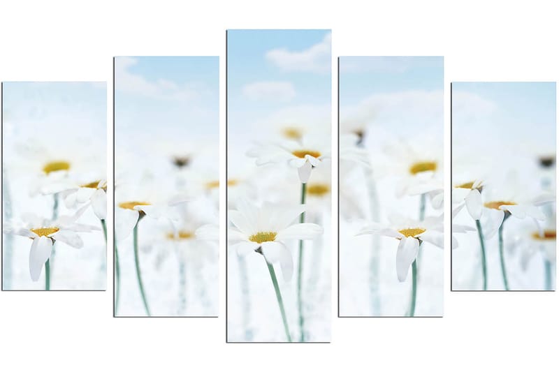 Dekorativ MDF-målning 5-Delar 20x60 cm - Flerfärgad - Inredning - Tavlor & posters - Canvastavla