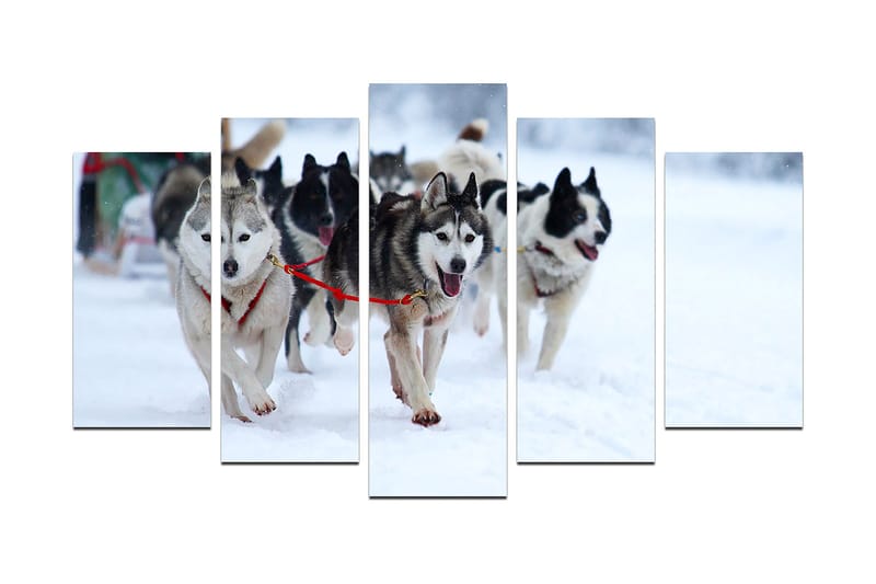 Dekorativ MDF-målning 5-Delar 20x60 cm, Flerfärgad