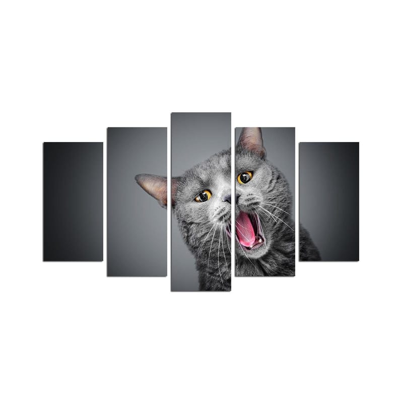 Dekorativ MDF-målning 5-Delar 20x60 cm, Flerfärgad