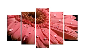 Dekorativ MDF-målning 5 Delar - Flerfärgad - Inredning - Tavlor & posters - Canvastavla