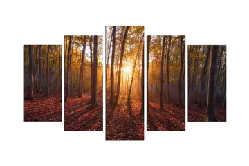 Dekorativ MDF-målning 5 Delar - Flerfärgad - Inredning - Tavlor & posters - Canvastavla