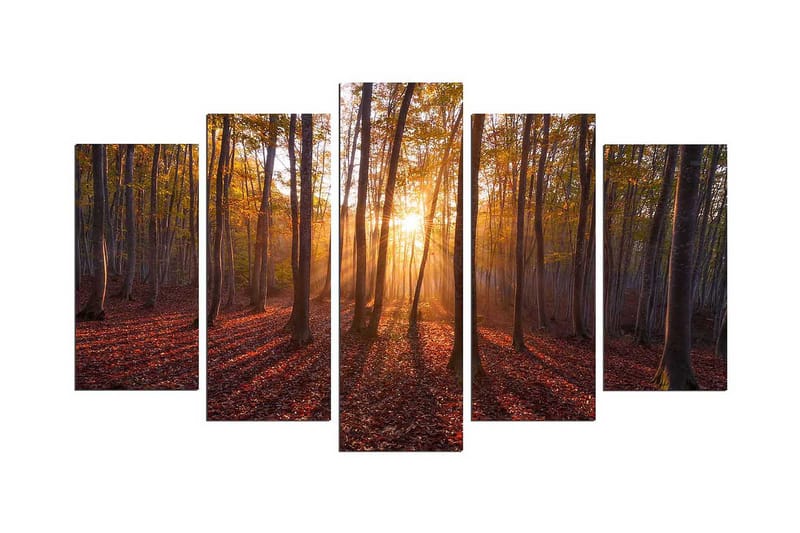 Dekorativ MDF-målning 5 Delar, Flerfärgad