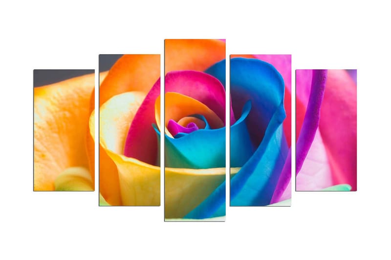 Dekorativ MDF-målning 5 Delar - Flerfärgad - Inredning - Tavlor & posters - Canvastavla