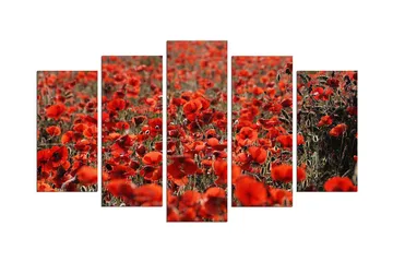 Dekorativ MDF-målning 5 Delar - Flerfärgad - Inredning - Tavlor & posters - Canvastavla