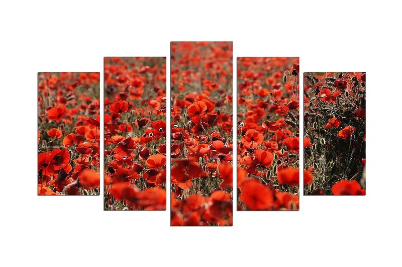 Dekorativ MDF-målning 5 Delar - Flerfärgad - Inredning - Tavlor & posters - Canvastavla