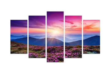 Dekorativ MDF-målning 5 Delar - Flerfärgad - Inredning - Tavlor & posters - Canvastavla