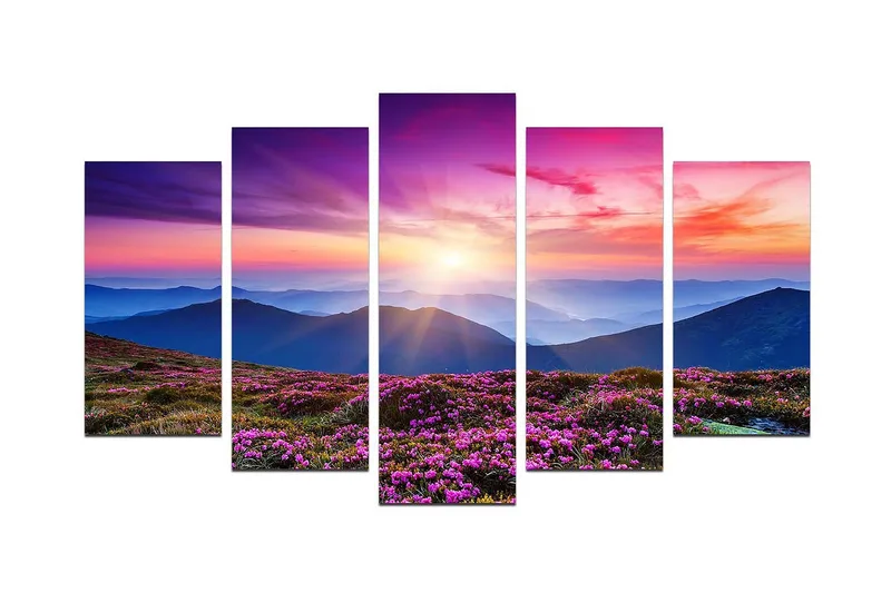 Dekorativ MDF-målning 5 Delar - Flerfärgad - Inredning - Tavlor & posters - Canvastavla