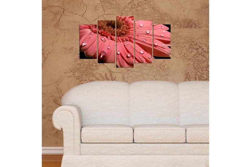 Dekorativ MDF-målning 5 Delar - Flerfärgad - Inredning - Tavlor & posters - Canvastavla