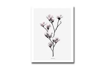 Dekorativ MDF-målning - Flerfärgad - Inredning - Tavlor & posters - Canvastavla