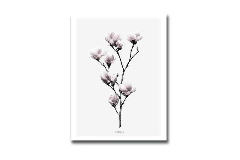 Dekorativ MDF-målning, Flerfärgad