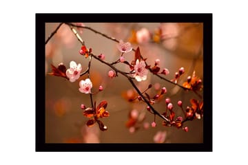Inramad Canvastavla i trä - 41x56 cm - Blommande körsbärsgrenar i mjuka nyanser - Rosa / Brunt / Grönt - Inredning - Tavlor & posters - Canvastavla