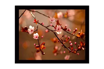Inramad Canvastavla i trä - 41x56 cm - Blommande körsbärsgrenar i mjuka nyanser - Rosa / Brunt / Grönt - Inredning - Tavlor & posters - Canvastavla