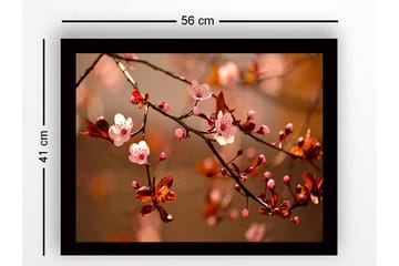 Inramad Canvastavla i trä - 41x56 cm - Blommande körsbärsgrenar i mjuka nyanser - Rosa / Brunt / Grönt - Inredning - Tavlor & posters - Canvastavla
