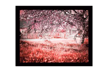 Inramad Canvastavla i trä - 41x56 cm - Blommande körsbärsträd i en drömlik landskapsmiljö - Rosa / Grön / Vit - Inredning - Tavlor & posters - Canvastavla