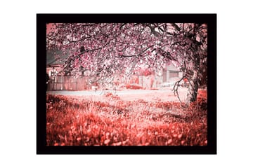 Inramad Canvastavla i trä - 41x56 cm - Blommande körsbärsträd i en drömlik landskapsmiljö - Rosa / Grön / Vit - Inredning - Tavlor & posters - Canvastavla