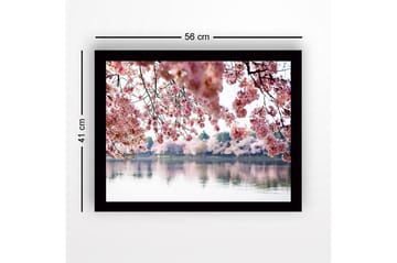 Inramad Canvastavla i trä - 41x56 cm - Blommande körsbärsträd vid en spegelblanka sjö - Rosa / Grön / Blå - Inredning - Tavlor & posters - Canvastavla