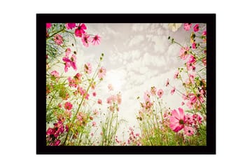 Inramad Canvastavla i trä - 41x56 cm - Blomsterfält med rosa blommor som sträcker sig mot en ljus himmel - Rosa / Grön - Inredning - Tavlor & posters - Canvastavla