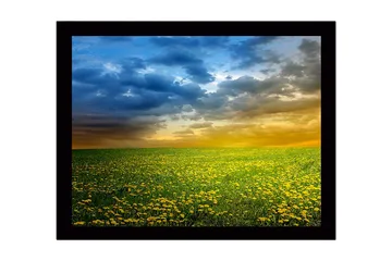 Inramad Canvastavla i trä - 41x56 cm - Blomstrande äng med gula maskrosor under en dramatisk himmel - Gult / Blått / Grönt - Inredning - Tavlor & posters - Canvastavla