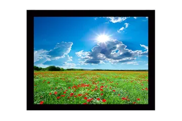 Inramad Canvastavla i trä - 41x56 cm - Blomstrande äng med röda vallmo och vita blommor under en klarblå himmel - Grön / Röd / Vit - Inredning - Tavlor & posters - Canvastavla