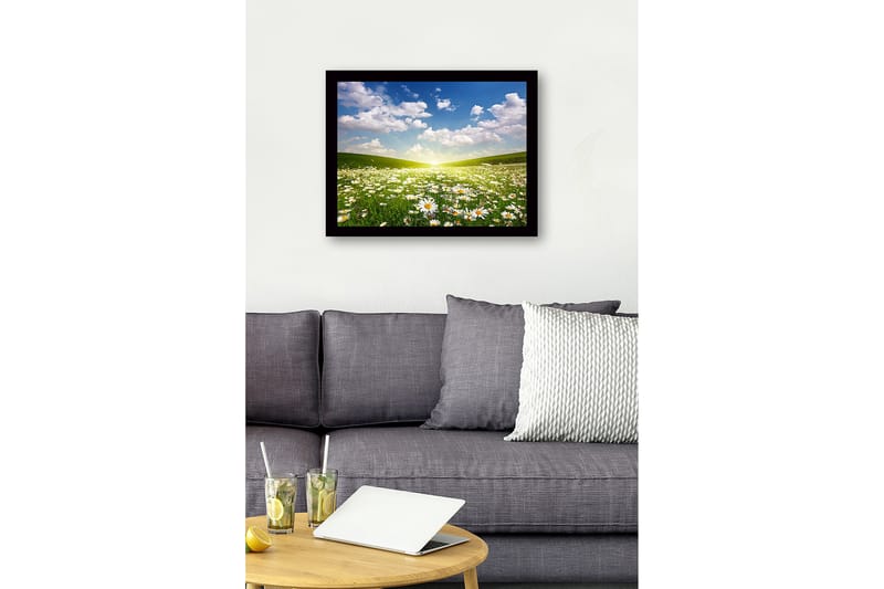 Inramad Canvastavla i trä - 41x56 cm - Blomstrande äng med prästkragar under en klar himmel - Grön / Vit / Blå - Inredning - Tavlor & posters - Canvastavla