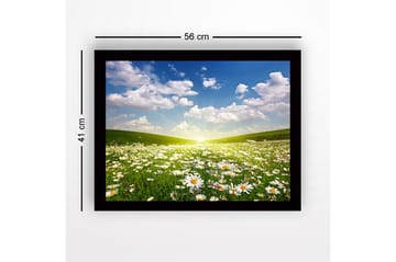 Inramad Canvastavla i trä - 41x56 cm - Blomstrande äng med prästkragar under en klar himmel - Grön / Vit / Blå - Inredning - Tavlor & posters - Canvastavla