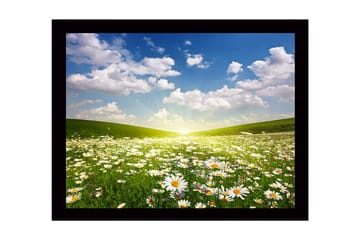Inramad Canvastavla i trä - 41x56 cm - Blomstrande äng med prästkragar under en klar himmel - Grön / Vit / Blå - Inredning - Tavlor & posters - Canvastavla