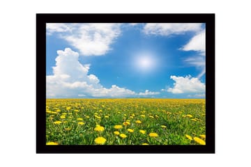 Inramad Canvastavla i trä - 41x56 cm - Blomstrande fält av maskrosor under en klarblå himmel - Gult / Grönt / Blått - Inredning - Tavlor & posters - Canvastavla