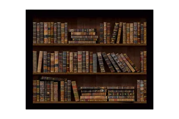 Inramad Canvastavla i trä - 41x56 cm - Detaljerad bokhylla med gamla böcker i varierande färger och storlekar - Brun / Beige / Svart - Inredning - Tavlor & posters - Canvastavla