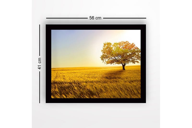 Inramad Canvastavla i trä - 41x56 cm - Ensam höstträd i ett gyllene fält - Guld / Grön / Orange - Inredning - Tavlor & posters - Canvastavla