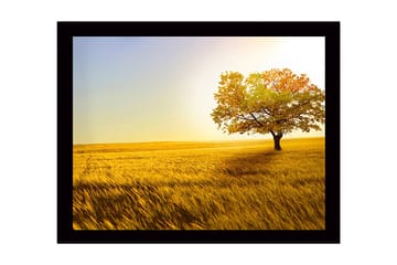 Inramad Canvastavla i trä - 41x56 cm - Ensam höstträd i ett gyllene fält - Guld / Grön / Orange - Inredning - Tavlor & posters - Canvastavla