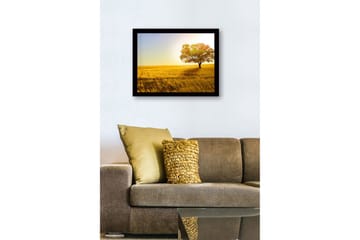 Inramad Canvastavla i trä - 41x56 cm - Ensam höstträd i ett gyllene fält - Guld / Grön / Orange - Inredning - Tavlor & posters - Canvastavla