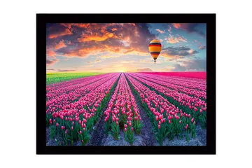 Inramad Canvastavla i trä - 41x56 cm - Fält av färgglada tulpaner under en ballong i solnedgången - Rosa / Grön / Orange - Inredning - Tavlor & posters - Canvastavla
