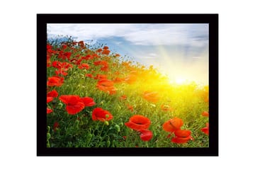 Inramad Canvastavla i trä - 41x56 cm - Fält av röda vallmo i soluppgångens ljus - Röd / Grön / Gul - Inredning - Tavlor & posters - Canvastavla