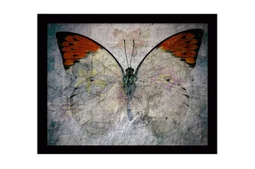 Inramad Canvastavla i trä - 41x56 cm - Färgglad fjäril med blommotiv - Orange / Ljusgrå / Grön - Inredning - Tavlor & posters - Canvastavla