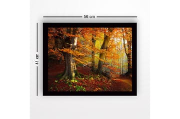 Inramad Canvastavla i trä - 41x56 cm - Färgglad höstskog med gyllene och orange lövverk - Orange / Gult / Grönt - Inredning - Tavlor & posters - Canvastavla