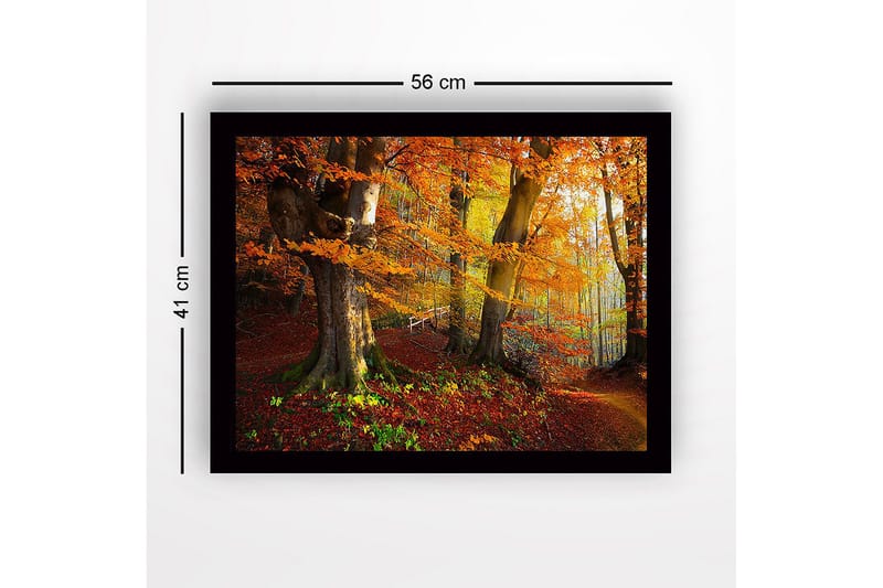 Inramad Canvastavla i trä - 41x56 cm - Färgglad höstskog med gyllene och orange lövverk - Orange / Gult / Grönt - Inredning - Tavlor & posters - Canvastavla