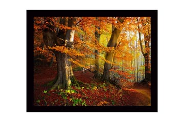 Inramad Canvastavla i trä - 41x56 cm - Färgglad höstskog med gyllene och orange lövverk - Orange / Gult / Grönt - Inredning - Tavlor & posters - Canvastavla