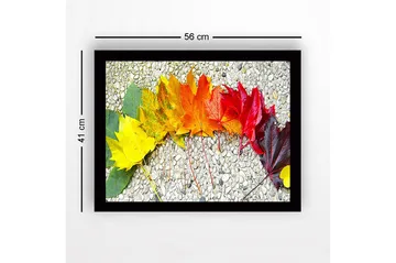 Inramad Canvastavla i trä - 41x56 cm - Färgglad rad av höstlöv i olika nyanser - Gult / Orange / Rött - Inredning - Tavlor & posters - Canvastavla