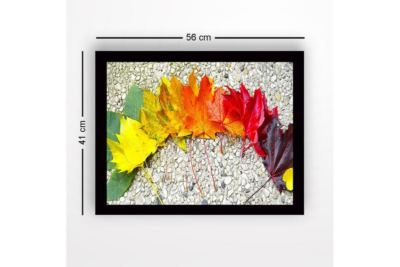 Inramad Canvastavla i trä - 41x56 cm - Färgglad rad av höstlöv i olika nyanser - Gult / Orange / Rött - Inredning - Tavlor & posters - Canvastavla