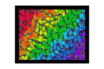 Inramad Canvastavla i trä - 41x56 cm - Färgglad samling av fjärilar i olika nyanser - Grön / Blå / Röd - Inredning - Tavlor & posters - Canvastavla