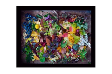 Inramad Canvastavla i trä - 41x56 cm - Färgglad samling av höstlöv och bär - Grön / Röd / Gul - Inredning - Tavlor & posters - Canvastavla