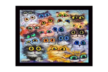 Inramad Canvastavla i trä - 41x56 cm - Färgglad samling av kattansikten med stora ögon - Orange / Svart / Blå - Inredning - Tavlor & posters - Canvastavla