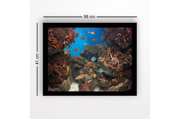 Inramad Canvastavla i trä - 41x56 cm - Färgglad undervattensscen med korallrev och simmande fiskar - Blå / Orange / Grön - Inredning - Tavlor & posters - Canvastavla