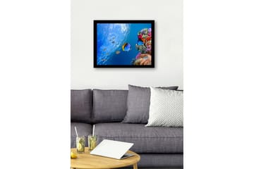 Inramad Canvastavla i trä - 41x56 cm - Färgglad undervattensscen med korallrev och simmande fiskar - Blå / Orange / Rosa - Inredning - Tavlor & posters - Canvastavla