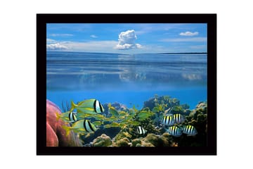 Inramad Canvastavla i trä - 41x56 cm - Färgglad undervattensscen med simmande fiskar och korallrev - Blå / Grön / Gul - Inredning - Tavlor & posters - Canvastavla