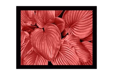 Inramad Canvastavla i trä - 41x56 cm - Färgglada blad i olika nyanser av röd - Röd / Svart - Inredning - Tavlor & posters - Canvastavla