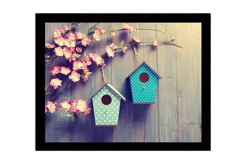 Inramad Canvastavla i trä - 41x56 cm - Färgglada fågelholkar hängande bland blommor - Rosa / Turkos - Inredning - Tavlor & posters - Canvastavla