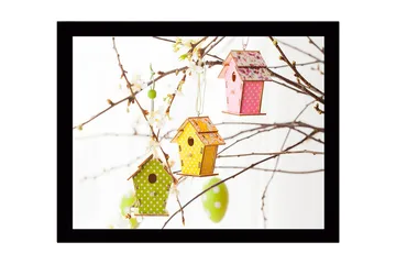 Inramad Canvastavla i trä - 41x56 cm - Färgglada fågelholkar hängande i blommiga grenar - Grön / Rosa / Gul - Inredning - Tavlor & posters - Canvastavla